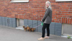 Nainen taluttaa kahta pientä koiraa kadulla.