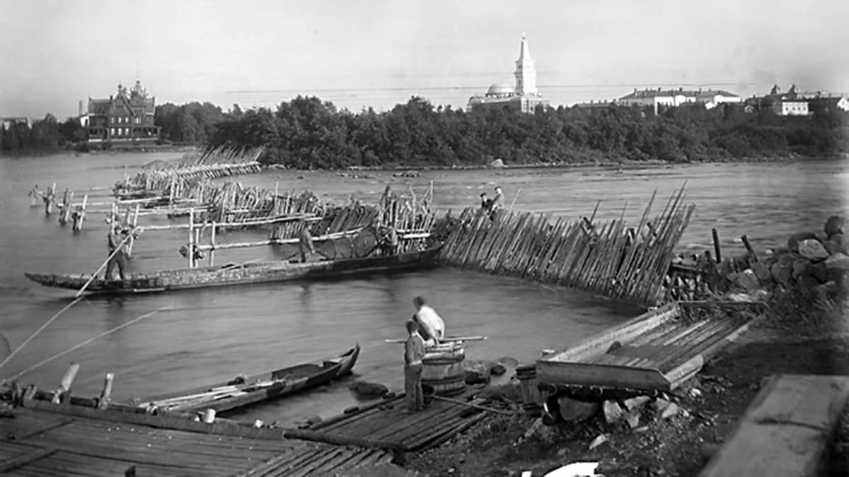 Lohipato Oulujoen Merikoskessa 1900-luvun vaihteessa