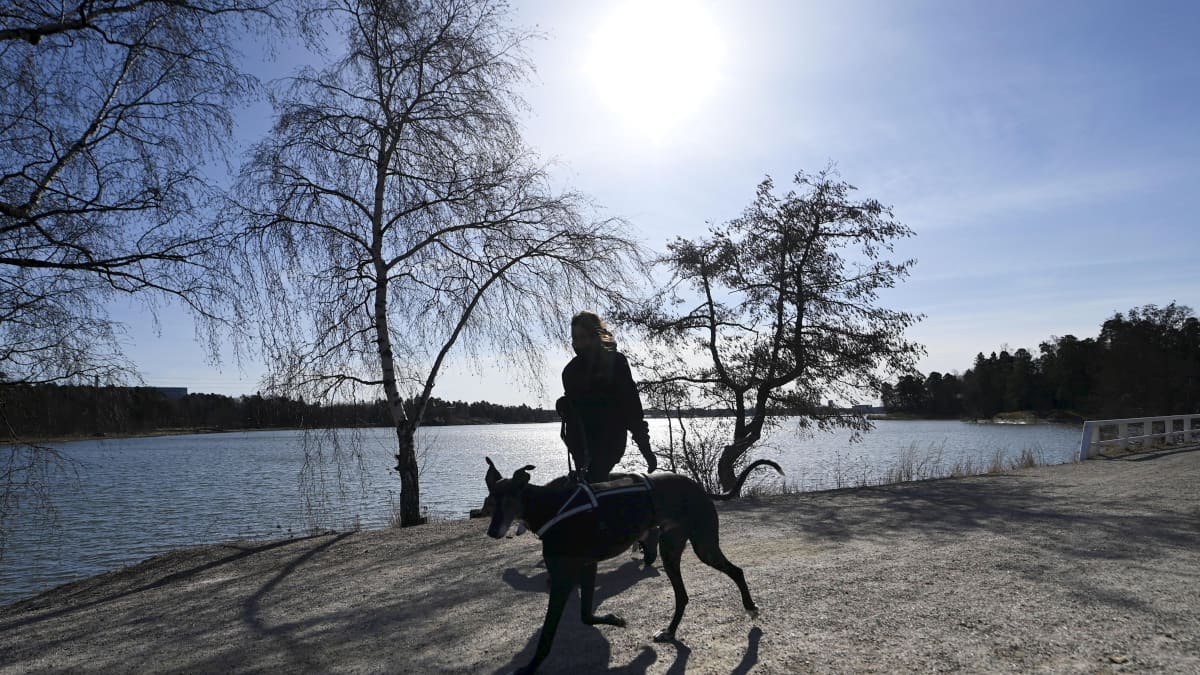 Haapavedellä mitattiin vuoden korkein lämpötila | Yle Uutiset