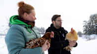 Two people holding hens in a wintry landscape.
