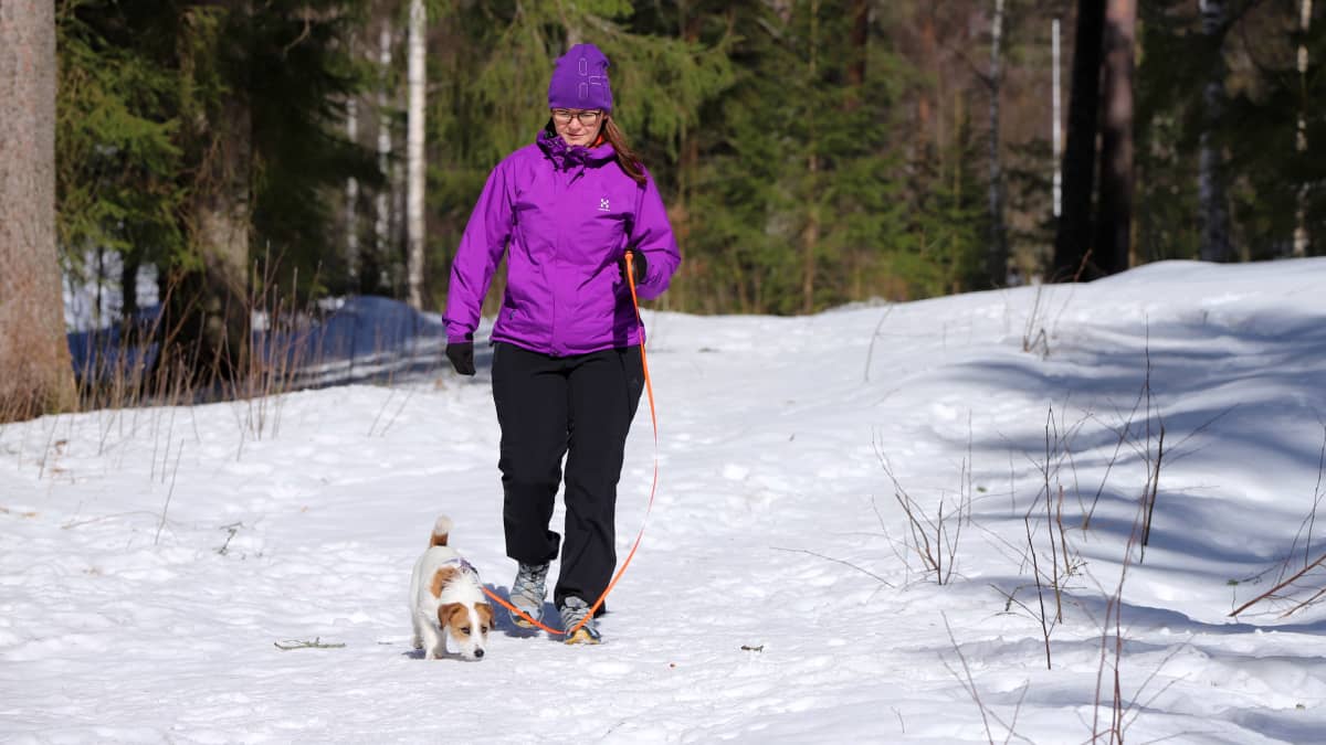 Nainen taluttaa koiraa kelataluttimella.