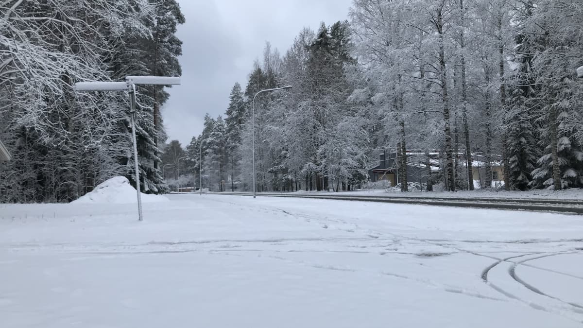 Kevyen liikenteen väylä on lumen peitossa Joensuun Linnunlahdella.