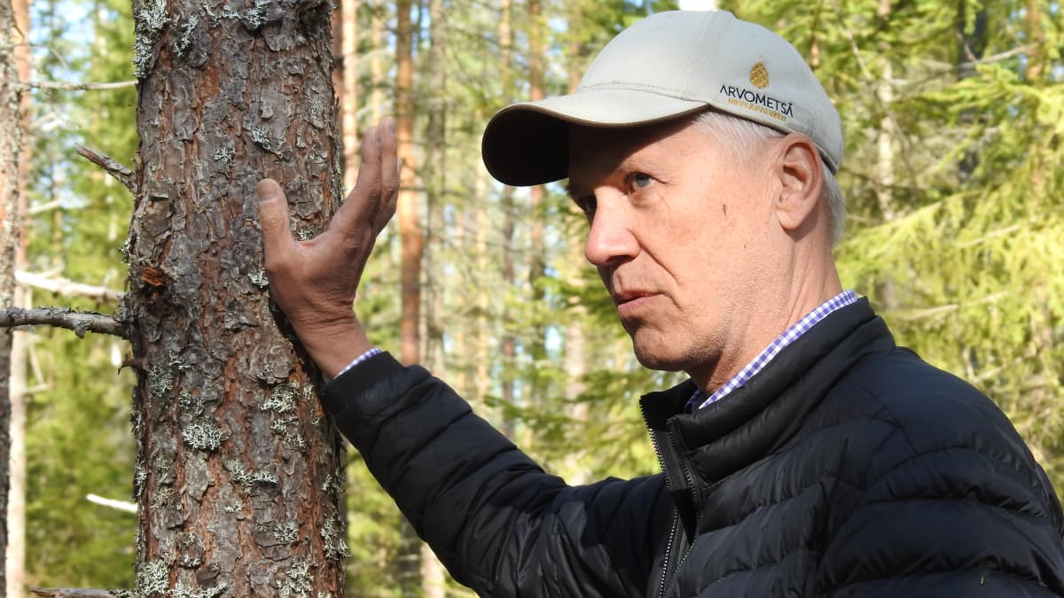 Timo Kujala nojaa kevyesti puuhun ja puhuu metsästä.