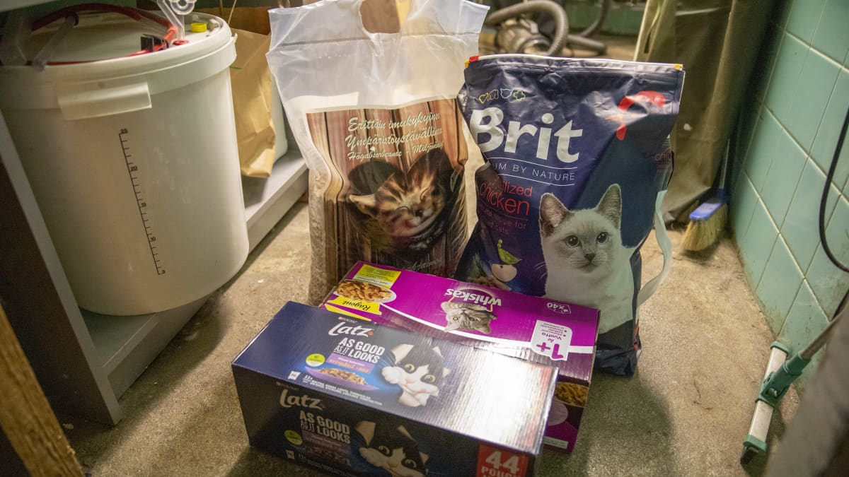 Pesuhuoneen lattialla avaamattomia pakkauksia kissanruokaa.