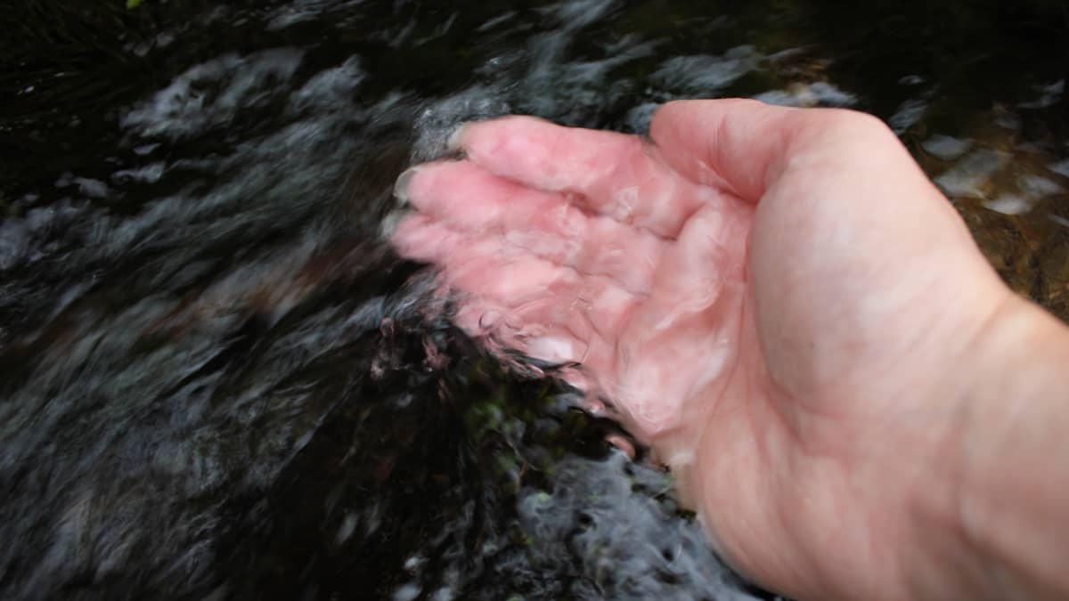 Käsi vedessä