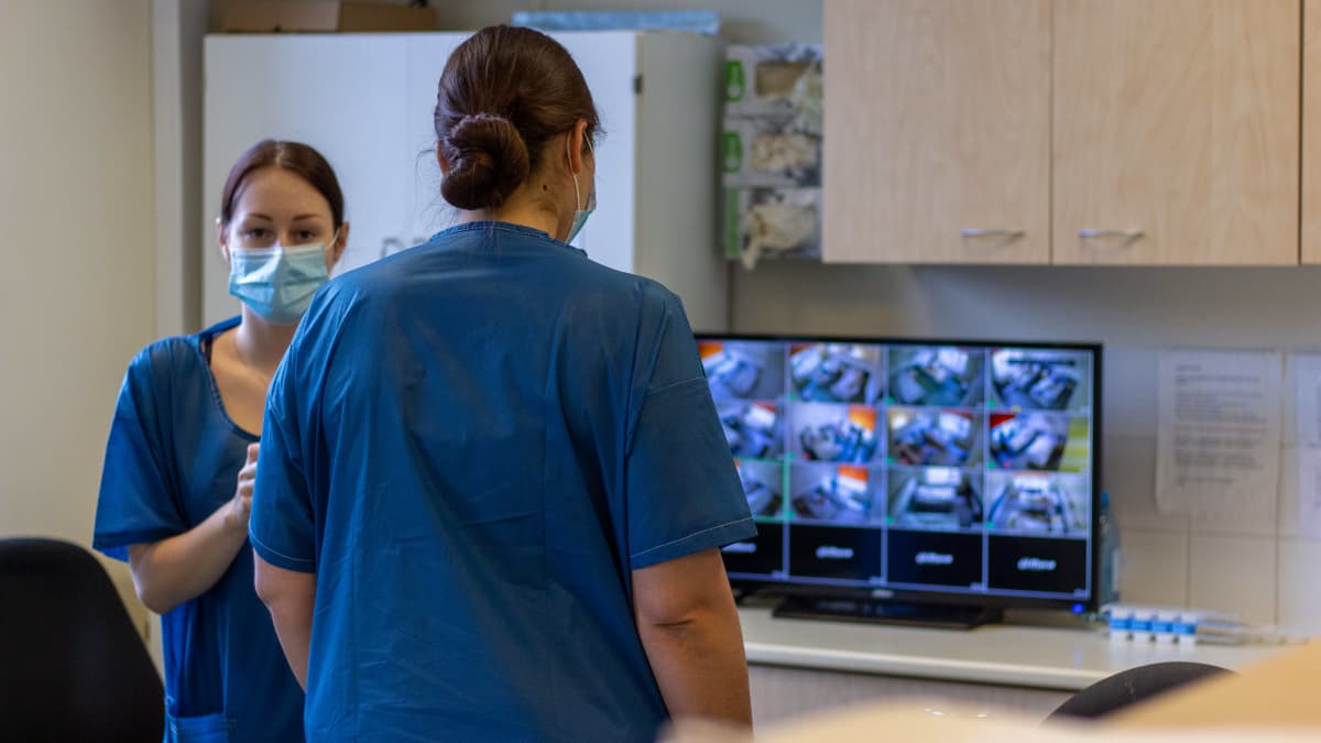 Länsi-Tallinnan keskussairaalan hoitaja tarkkailee koronapotilaita monitoreista.