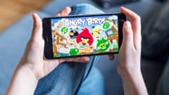 Lapsi pitää puhelinta kädessään, jossa auki Angry Birds -peli.