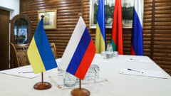 Ukrainan ja Venäjän liput neuvottelupöydällä.