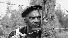 Pertti Pasanen piikkilanka-aidan takana.