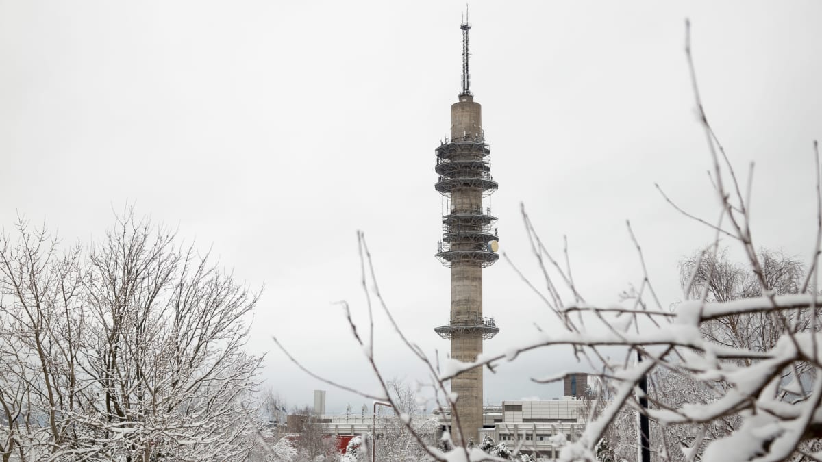 Korkea betoninen Yleisradion Pasilan linkkitorni lumisessa maisemasssa. Puiden oksilla on paljon lunta. Tornin juurella pilkistää puiden takaa valkoisia Yleisradion rakennuksia. Tornia ympäröi eri korkeuksilla seitsemän tasannetta, joissa on antenneja. Tornin huipulla on ohuempi masto. 