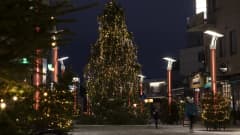 Yli 200 kuusta valaisee kävelykatua – rovaniemeläiset yrittäjät luovat joulutunnelmaa