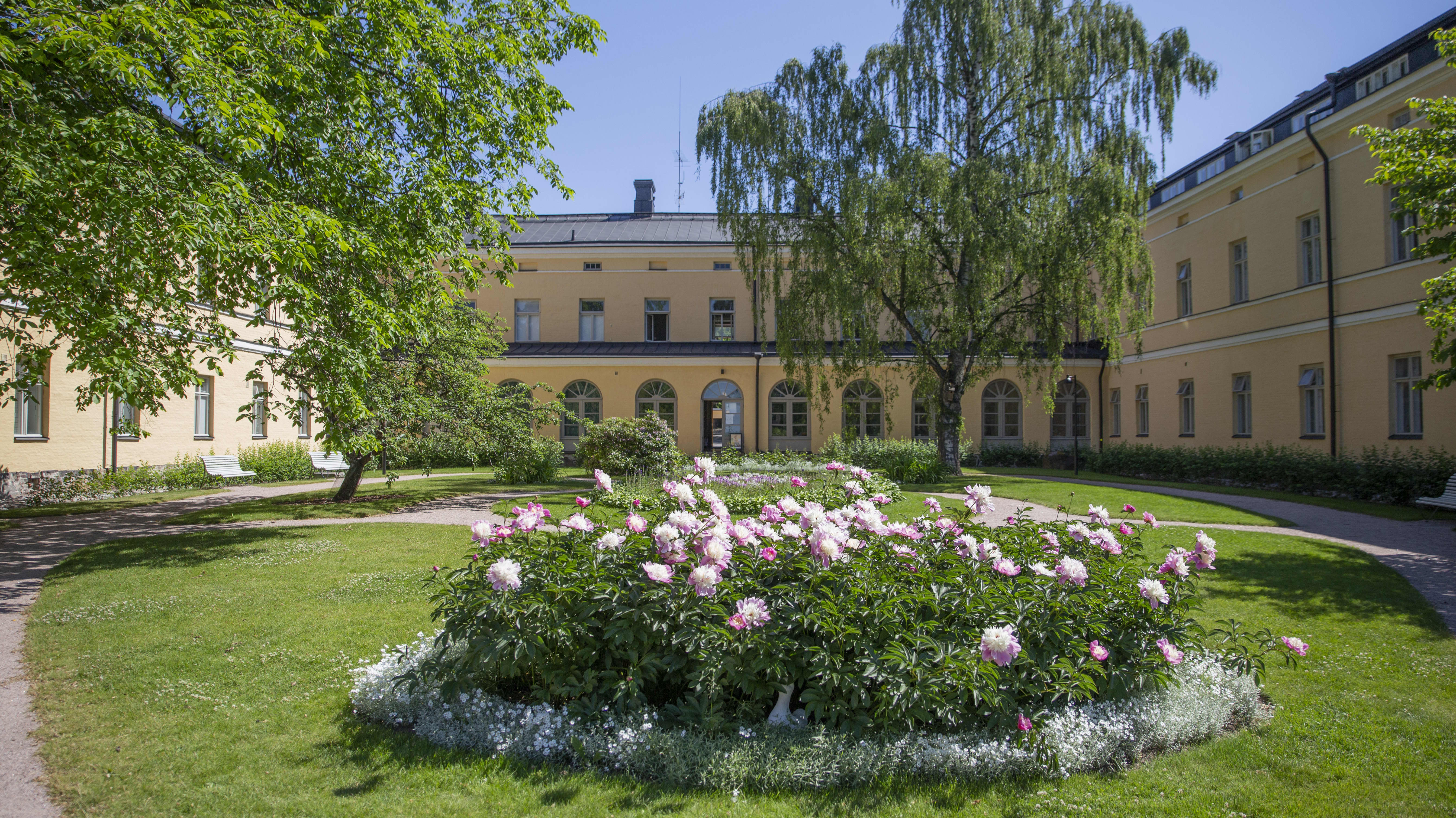 Kukkia Lapinlahden sairaala-alueen päärakennuksen sisäpihalla.
