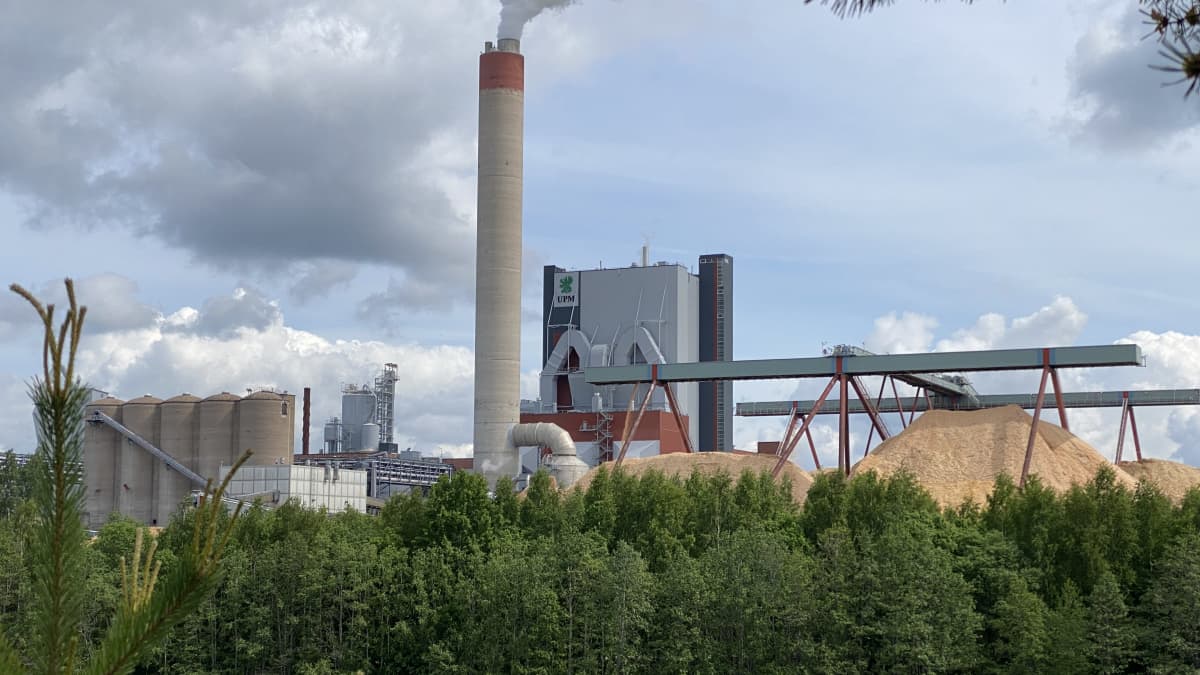 UPM Kymin paperitehdas ja sellutehdas Kymijoen vastarannalta nähtynä kesällä. 