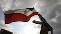 Iranin lippu taivasta vasten, mielenosoittaja kohottaa sitä yhdessä tuliaseen piipun kanssa.