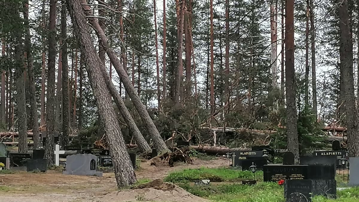 Puita on kaatunut myrskyssä hautausmaalla Taivalkoskella.