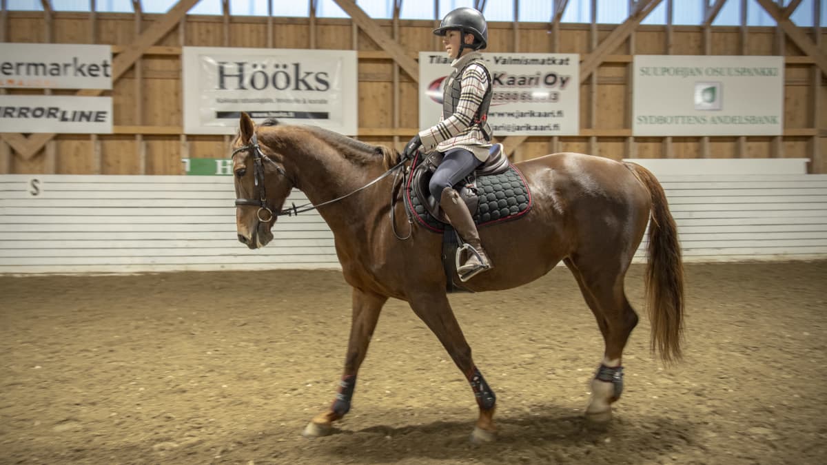 13-vuotias Jone Illi ratsastaa Maisa-hevosella.