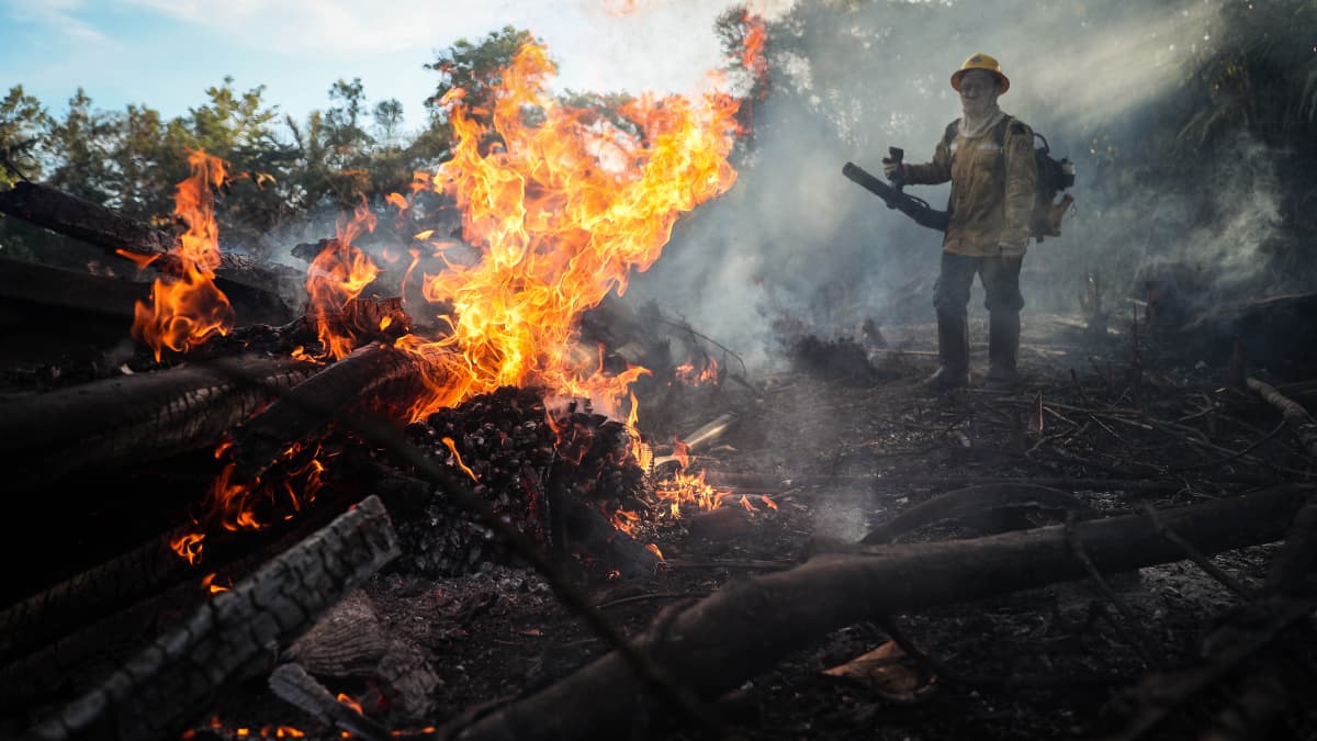 Tenharin alkuperäiskansan muodostama vapaaehtoispalokunta sammutti viime syyskuussa paloa Humaitassa, Amazonin alueella.