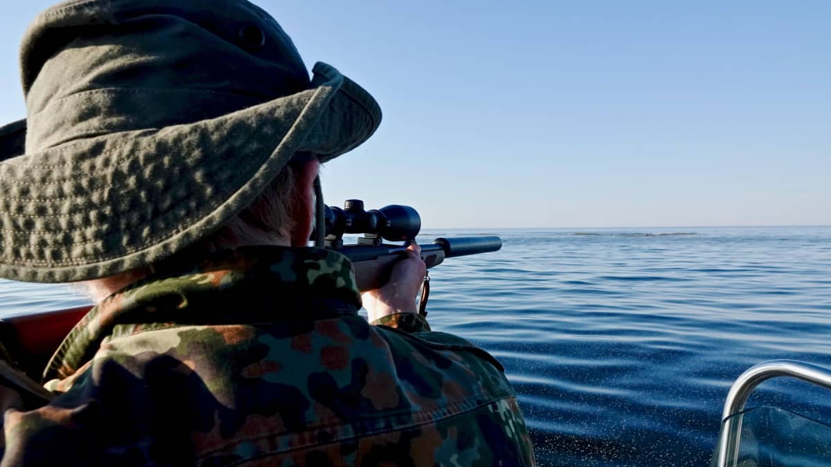 Helsinkiläinen metsästäjä Roy Siljamäki tähtää kiväärin piipun läpi harmaahyljettä merialueella Helsingin edustalla.