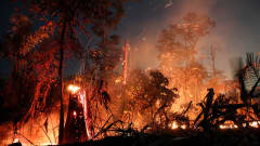 Brasilian sademetsissä ennätysmäärä tulipaloja