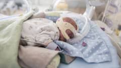 Lastenklinikka keskosten tehohoito