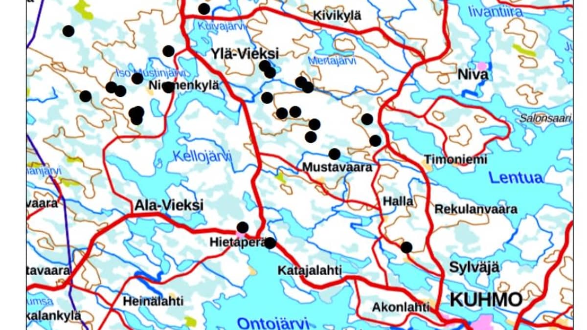 Peuravaara osassa Kainuuta: metsäpeurat liikehtivät kohti  talvehtimisalueita | Yle Uutiset