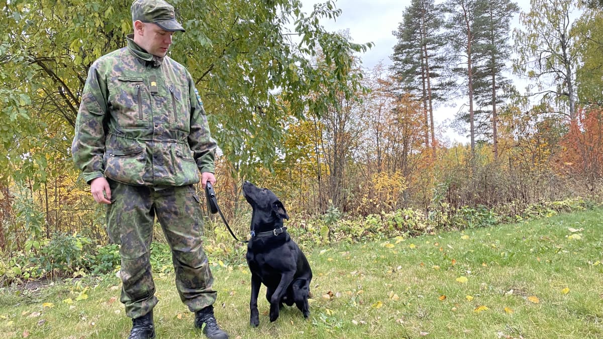 Vääpeli Mika Pitkänen seisoo huumekoiransa Speedyn kanssa syksyisessä maisemassa.
