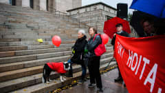Four union demonstrators and a dog wearing a red Tehy vest standing in the rain at the bottom of the steps of Helsinki's Lutheran Cathedral during a protest in September 2022.