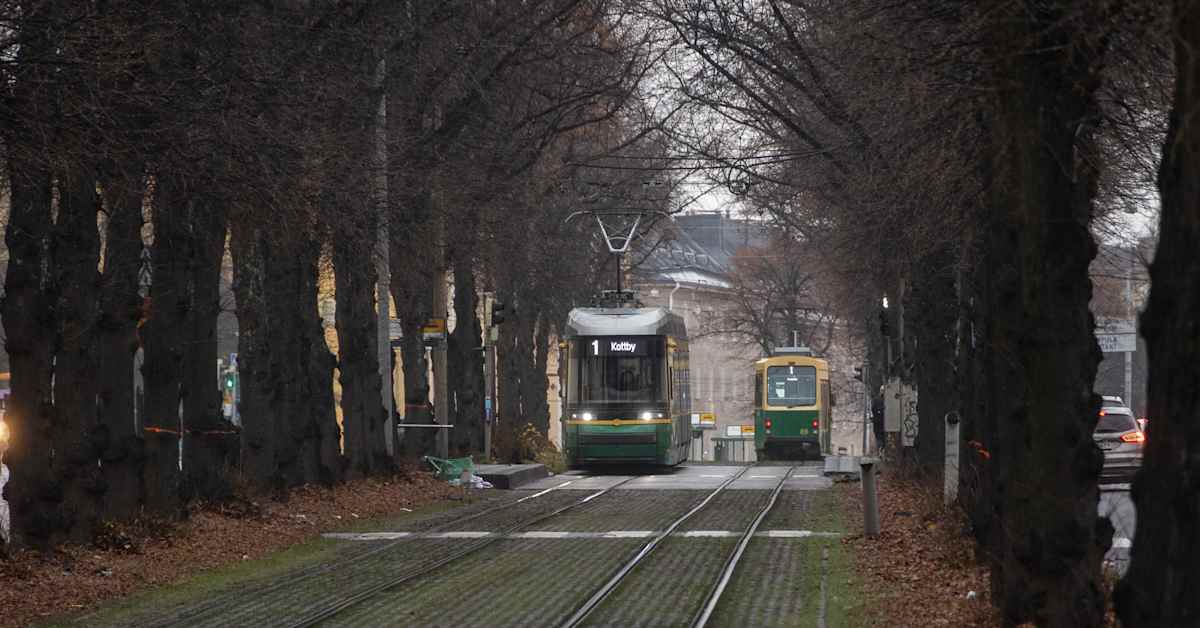 Mäkelänkadun lehmusten harvennus aiheuttaa melua öisinkin – jättiremontti vaikuttaa nyt erityisesti bussiliikenteeseen