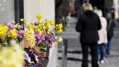 Kukkaistutus Helsingissä auringonpaisteessa, ihmisiä kävelee taustalla.