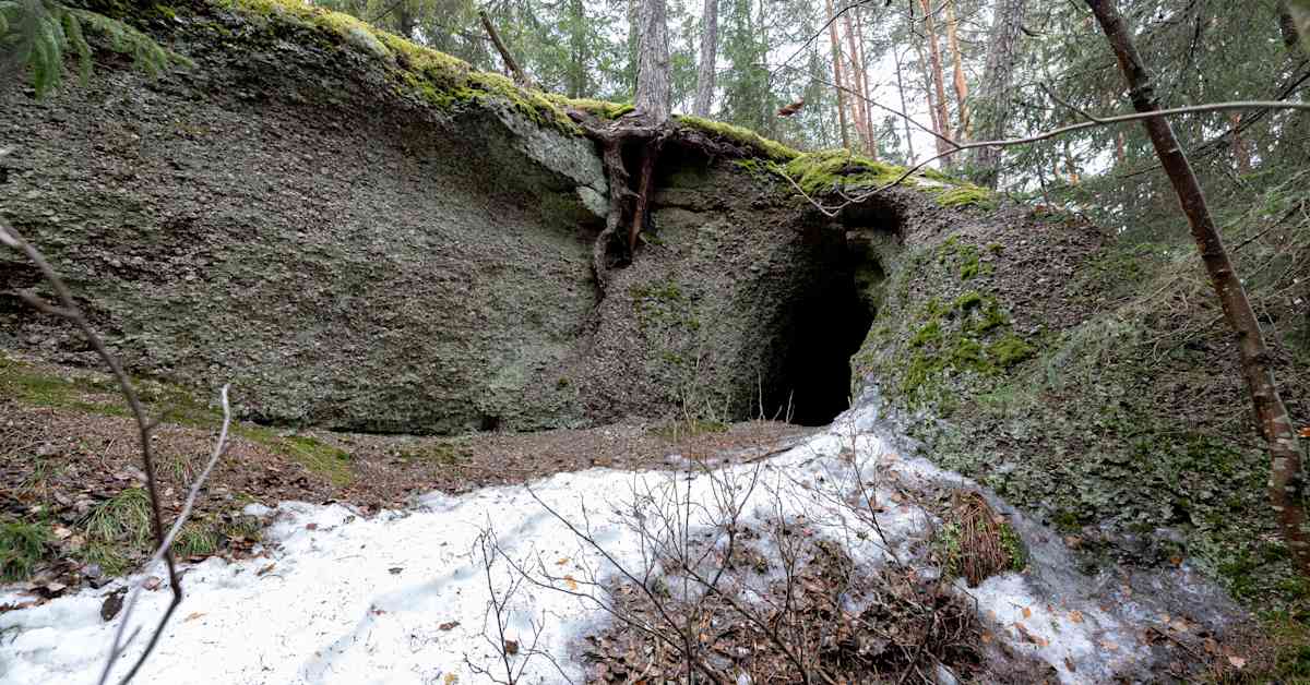 yle.fi