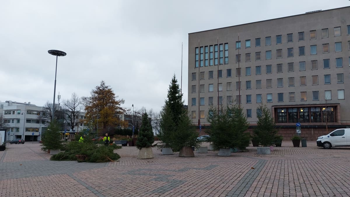Kuusia betoniporsaisiin pystytettyinä keskellä torilla.