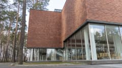 Jyväskylän Yliopiston päärakennuksen lasi-ikkunoita mäntymetsän laitamilla.