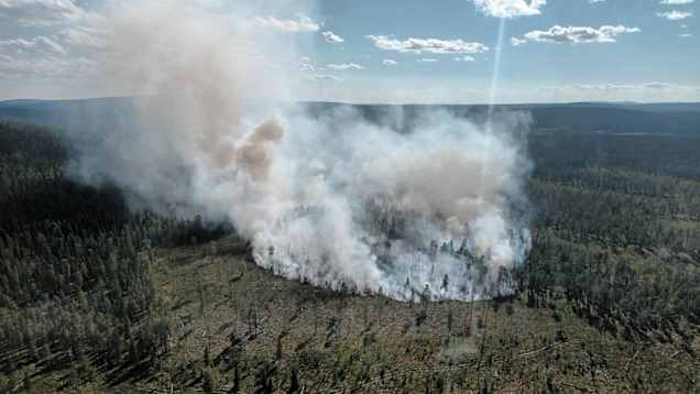 En rökpelare stiger från en brand i en skog med omgivande träd och öppna ytor.