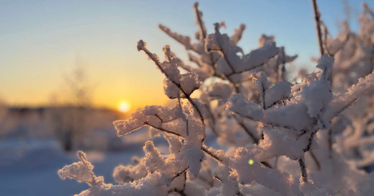 yle.fi