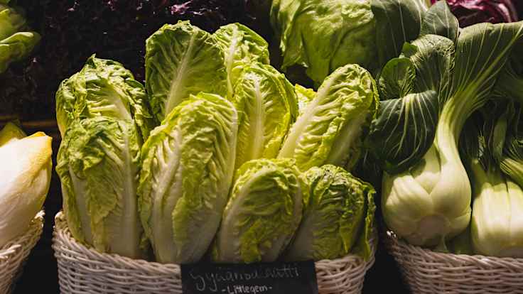 Vegetables such as lettuce, cabbage and carrot in a store.