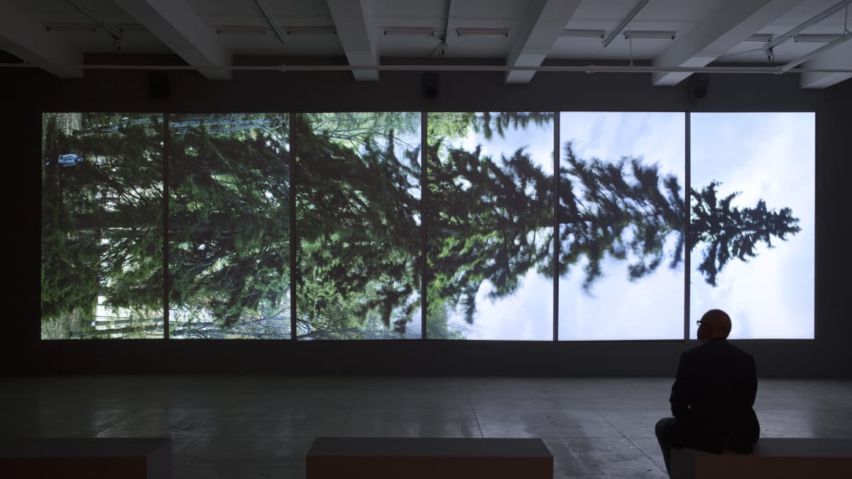 Eija-Liisa Ahtila, Vaakasuora-Horizontal, 2011, 6-kanavainen projisoitu installaatio.