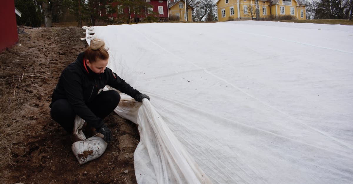 yle.fi