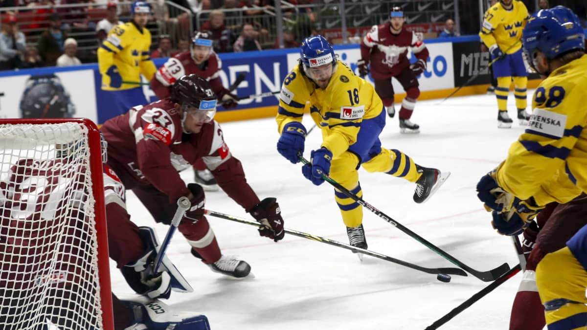 Ruotsin joukkue yrittää tehdä maalia Latviaa vastaan jääkiekon MM-kisoissa 2023.