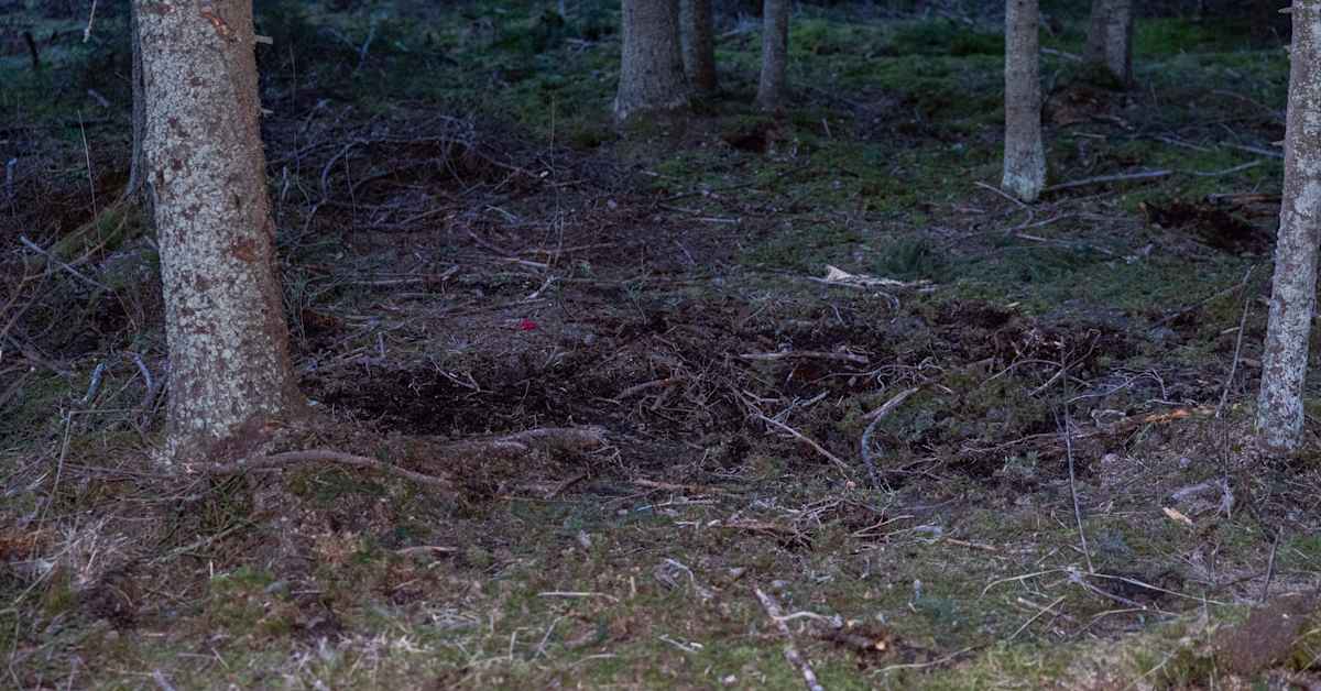 Stray Skies Over Scandinavia: The Humanitarian and Technological Wake of Finland's Drone Incursion