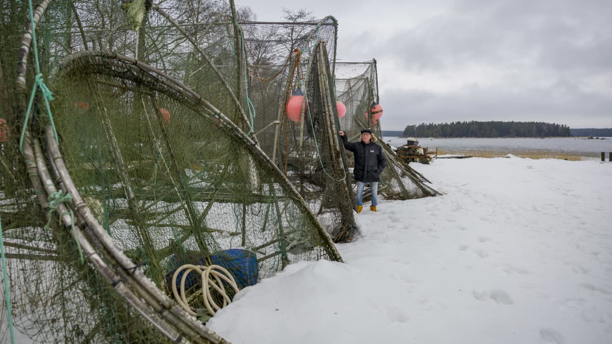 Mikael Lindholm talveksi maalle nostettujen rysien luona
