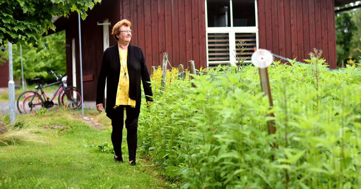 ”Vad skulle Bromarv vara utan ekobyn?” – tjugo år sedan marthorna blev ...