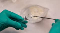 Pientä näyte-erää amfetamiinia otetaan tikulla pussista laboratorioputkiloon Tullilaboratoriossa.
