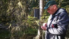 Kälviälänen lintuharrastaja ja partioryhmän vetäjä Jukka Mansikkamäki lataa koordinaatteja vanhaan metsään laitetulle pöntölle.