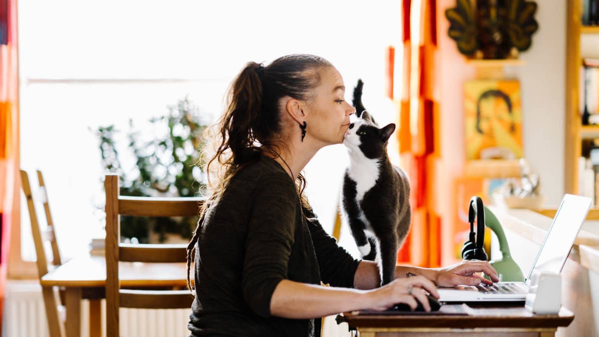 Milla Kissaniitty työskentelee tietokoneella kotonaan. Millan kissa hieroo päätään Millan leukaan.