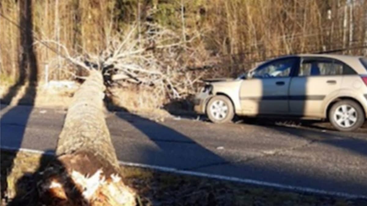Kaatunut puu maantiellä, vieressä vaurioitunut henkilöauto.