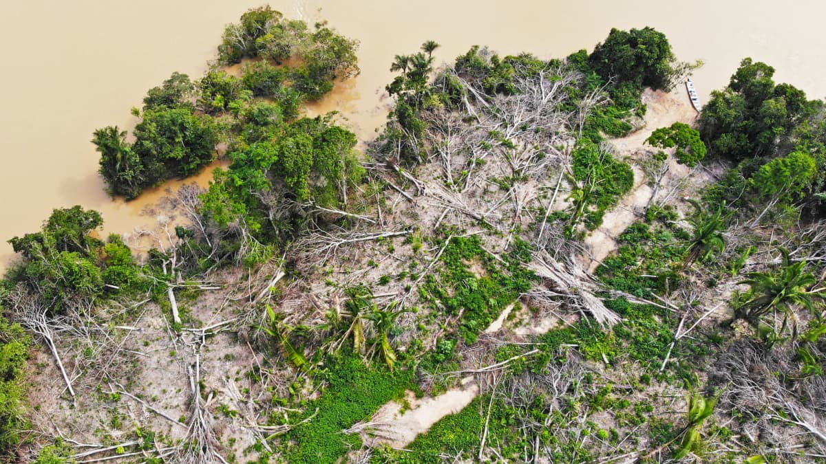 Tuhoutunut Amazonin sademetsä