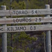 Opaskyltti Torronsuon kansallispuistossa.