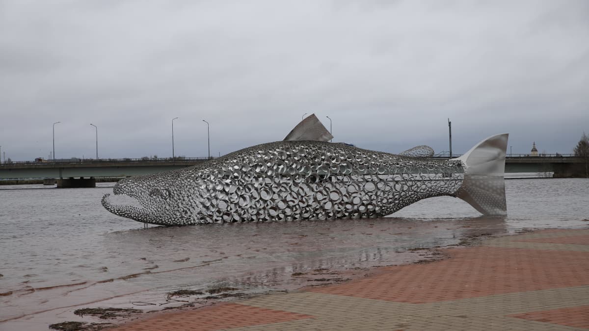 Kalanmuotoinen taideteos Kojamo Tornionjoen rannassa tulvavedessä