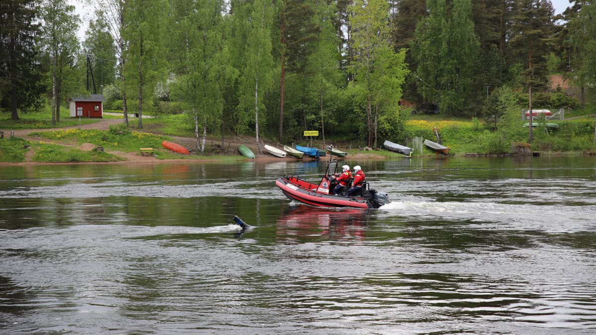 Kouvolan järvipelastusaseman Onni Marsala ja Saku Tauriainen ajamassa pelastusveneellä Kymijoella Kouvolassa.