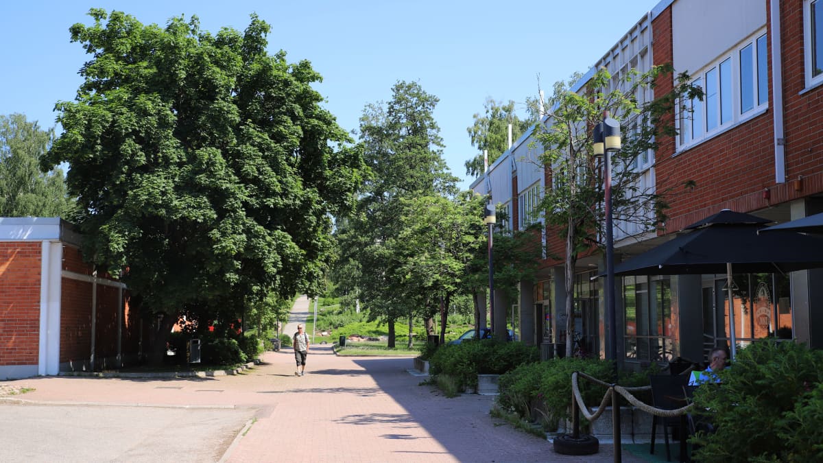 Kävelytie Kotkan Karhuvuoressa.